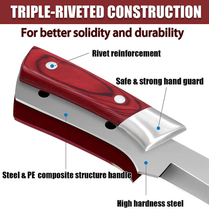 Knife Recommended By a Michelin Chef - Japanese Premium Knife🔪